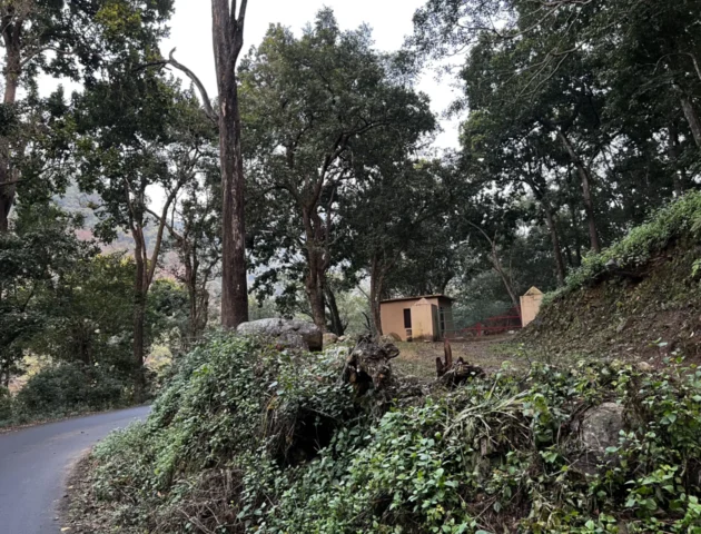 Corbett Gate Maidavan, Uttarakhand