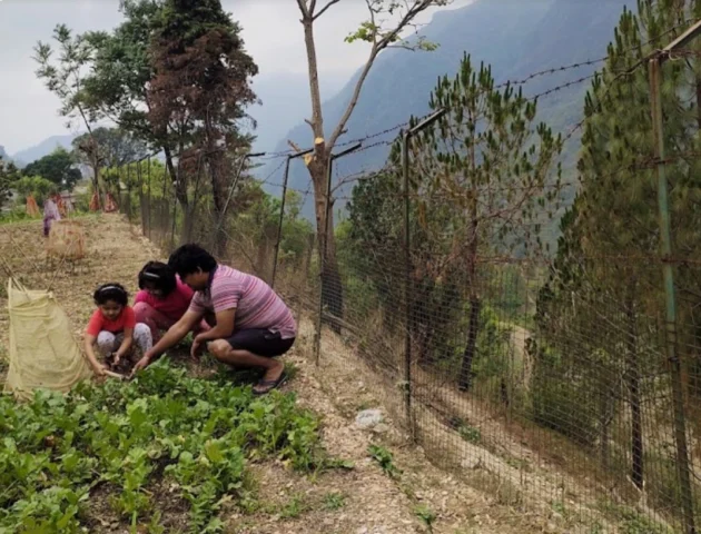 Gardening and Farming in Corbett Sukoon Homestay